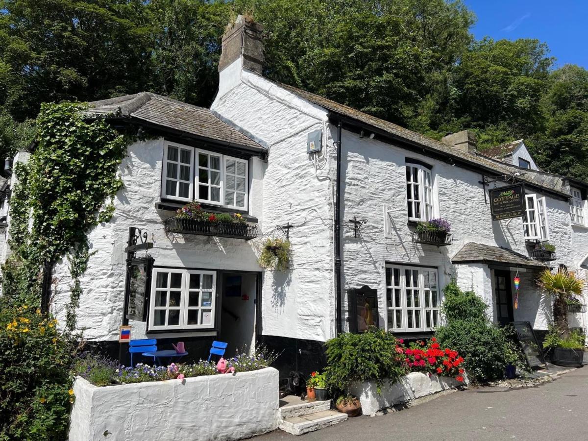 The Cottage Bed & Breakfast Polperro Eksteriør billede